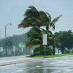 Trump declara estado de emergencia en Florida por la llegada de Eta estados unidos