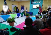 Productores de Nicaragua conocen técnicas de injerto para mejorar capacidades nicaragua