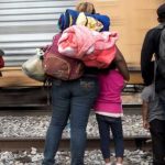 México redujo en 56% el flujo migratorio a EEUU desde mayo mexico