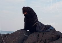 nicaragua