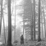 Taylor Swift sorprende con maravilloso álbum «Folklore» musica