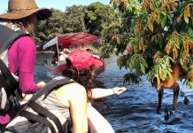 «Que nada te detenga de conocer Nicaragua» nicaragua