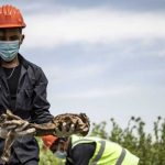 Encuentran fosa común con 200 cadáveres en ciudad siria de Raqa siria