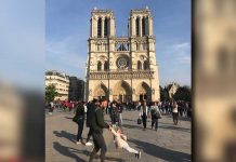 Encuentran a hombre y niña fotografiados antes de incendio en Notre Dame francia