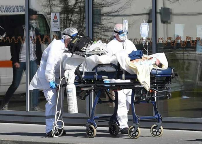 genoma del coronavirus