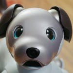 Un perro robot dispensador de alcohol gel atrae miradas en Bangkok perro robot