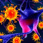 ¿Existe relación entre el Herpes y el Alzheimer? virus