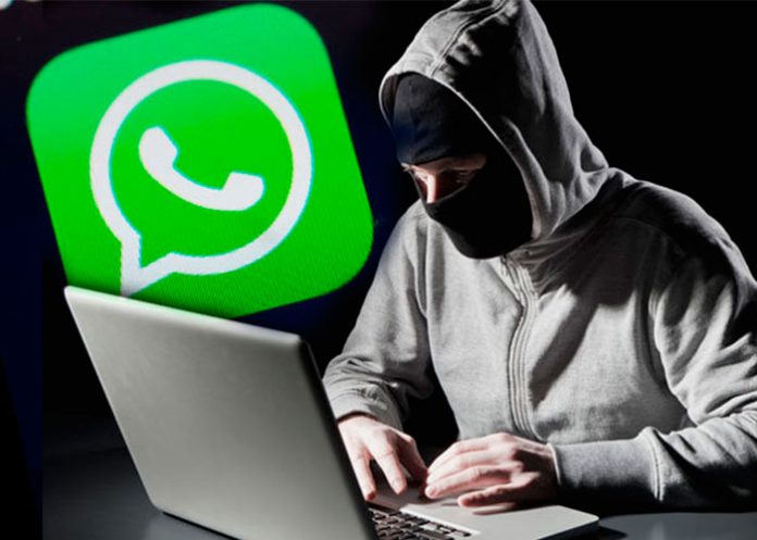 foto1_ZAmoV9c whatsapp