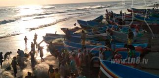 marejada