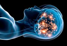 Esto es lo que pasa con tu cerebro mientas duermes cerebro