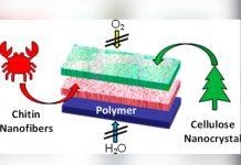 De esto está hecho el material para reemplazar las cajas de plástico ciencia