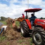 Proyecto para mejorar la producción de frijol en Nicaragua ha dado excelentes resultados nicaragua