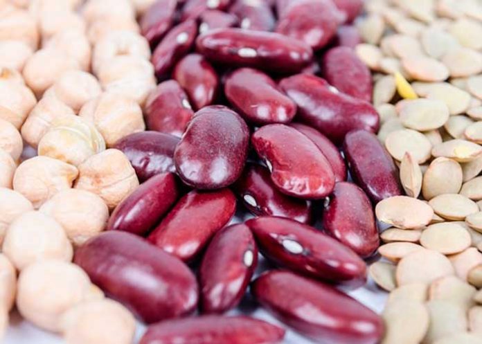 frijo dieta macrobiotica