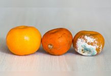 Riesgo total cortar la parte podrida de la fruta y comer el resto salud