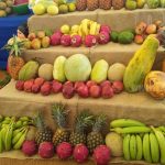 Estrategia de Nicaragua para el desarrollo de la producción de frutas nicaragua