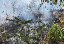 Jalapa: Bomberos controlan incendio agropecuario en Los Placeres nicaragua