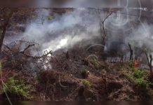 Bomberos extinguen otro incendio forestal en Boaco nicaragua