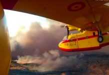 Fuego en Canarias logra estabilizarse y familias vuelven a sus casas europa