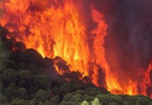 Desalojan 2.600 personas en España por incendio incontrolado espana