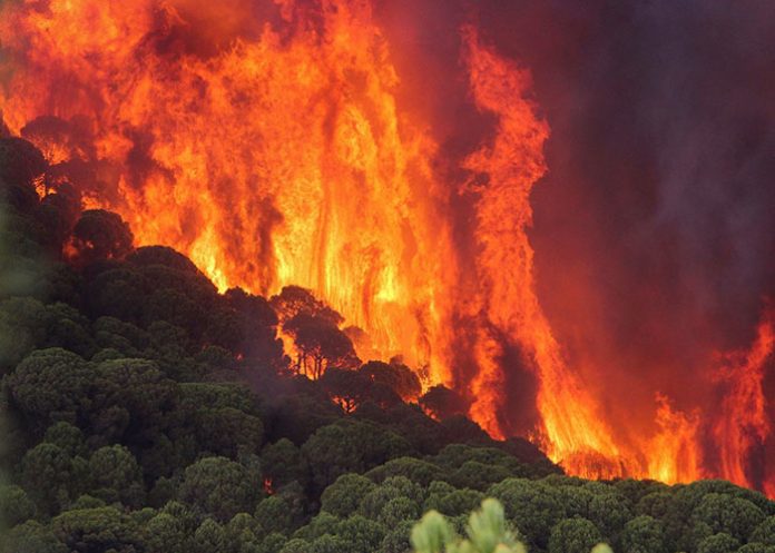 fuego_9KwzgOr espana