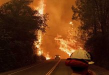 Infierno en California: Residentes huyen de incendio que arrasó pueblos miles