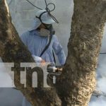 Lucha antiepidémica en barrio San Isidro Libertador nicaragua
