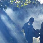 Brigadas médicas en Managua en lucha contra el dengue nicaragua