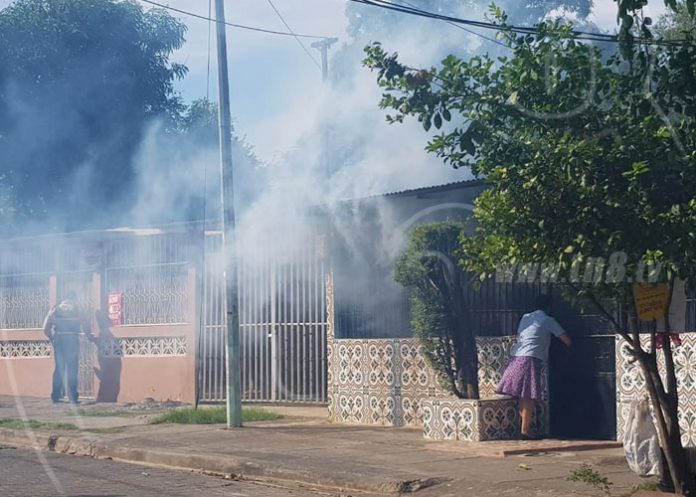 fumiga-managua-1 nicaragua