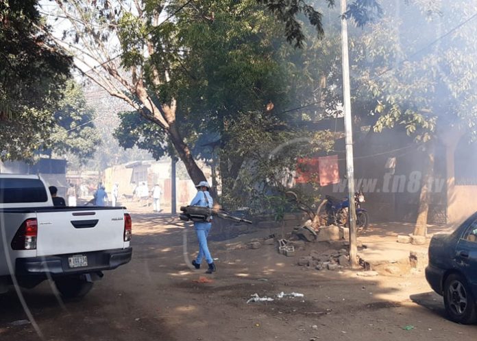 fumigacion-altagracia-norte-3 nicaragua