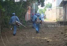 Erradican mosquitos con jornadas de fumigación en Managua nicaragua
