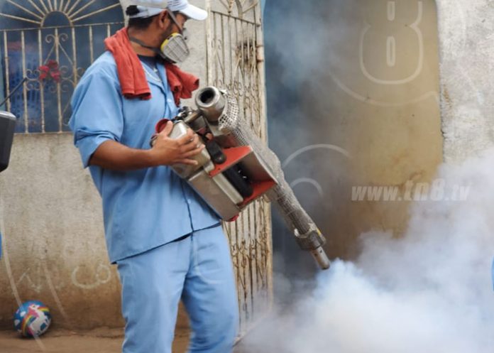 fumigacion-el-recreo-13 nicaragua