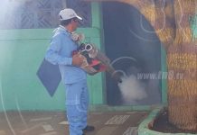 Eliminan criaderos del mosquito en el barrio Grenada de Managua nicaragua