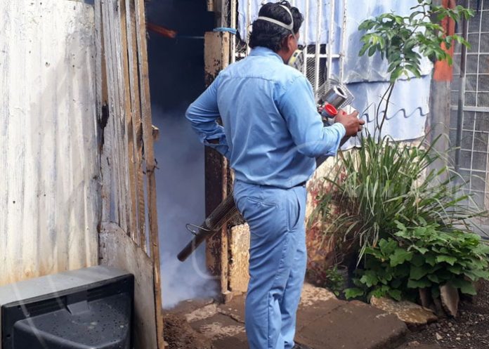 fumigacion-managua-002 nicaragua