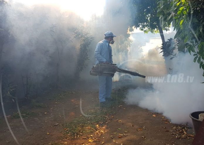 fumigacion-managua-87 nicaragua