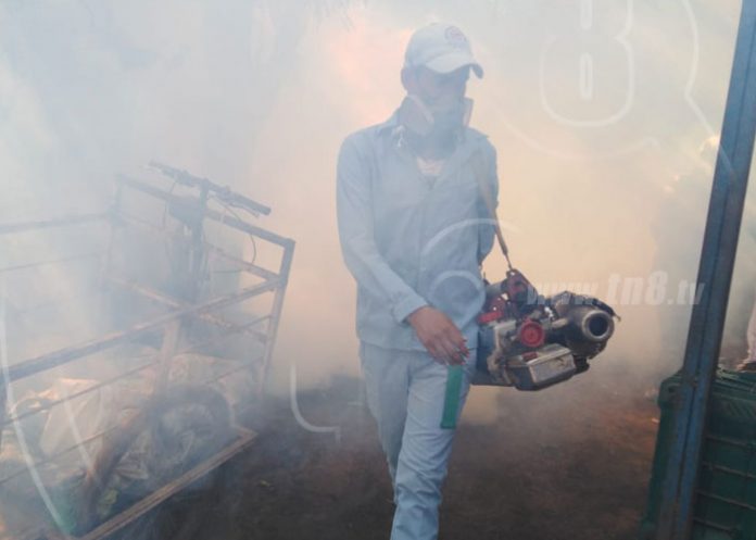 fumigacion-managua-901 nicaragua