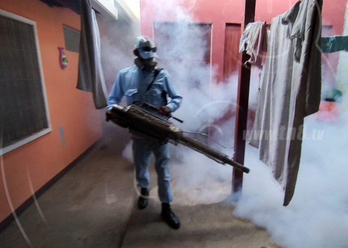 fumigacion-managua-edgard-lang-1 nicaragua