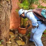Fumigan, abatizan y comparten mensaje de prevención en San Antonio nicaragua