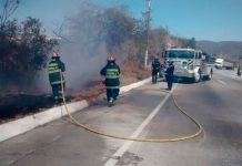 casi 500 hectareas