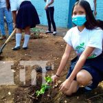 Conmemoran 41 años de la Alfabetización en Nicaragua sembrando árboles nicaragua