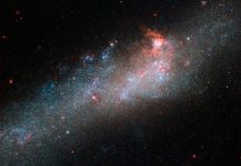 estrellas