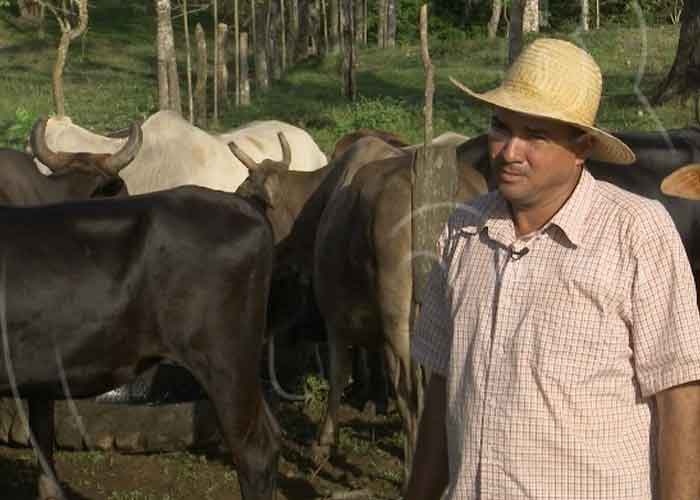 gana-1_QX938ON nicaragua