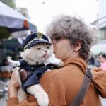 Gato ‘vende’ pescado conquista las redes en Vietnam (Fotos) gato