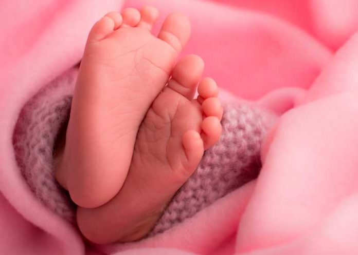 gemelas-en-india india