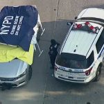 Gemelos mueren al ser olvidados por su padre en el auto estados unidos