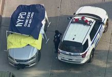 Gemelos mueren al ser olvidados por su padre en el auto estados unidos