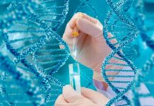 Encuentran gen causante de Diabetes en mexicanos encuentran