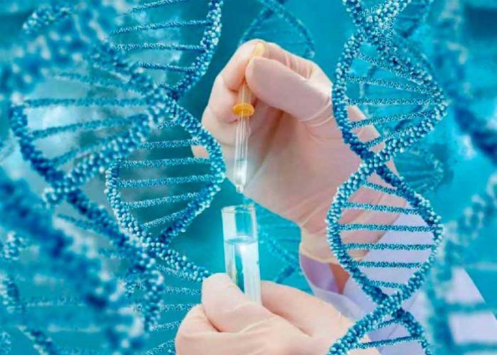 gen_EnTIsBc encuentran