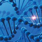 Hallan el primer genoma de un habitante primitivo del Caribe primer genoma humano