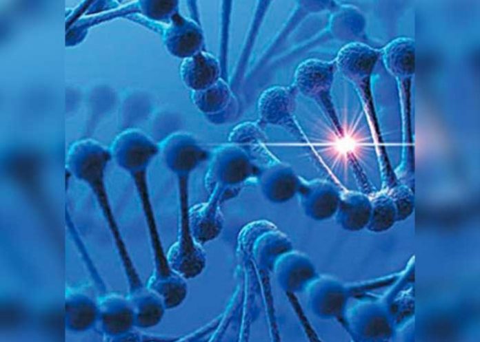 primer genoma humano