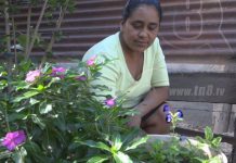 Patio Saludable: sustento, salud y armonía con la naturaleza en Mozonte nicaragua